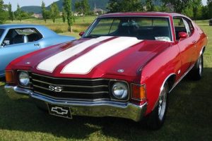 racing stripes wrap