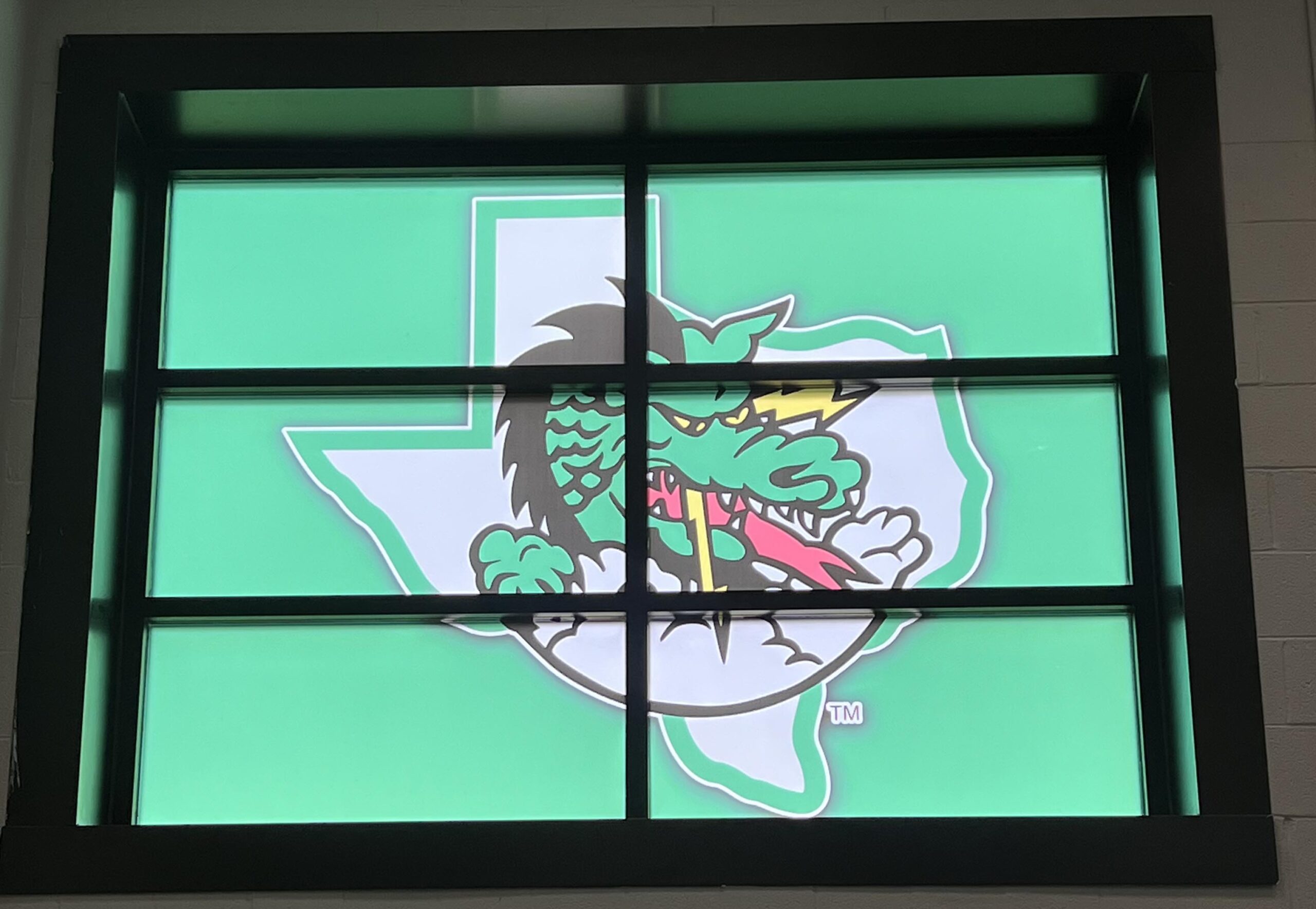 Custom Commercial Window Graphics