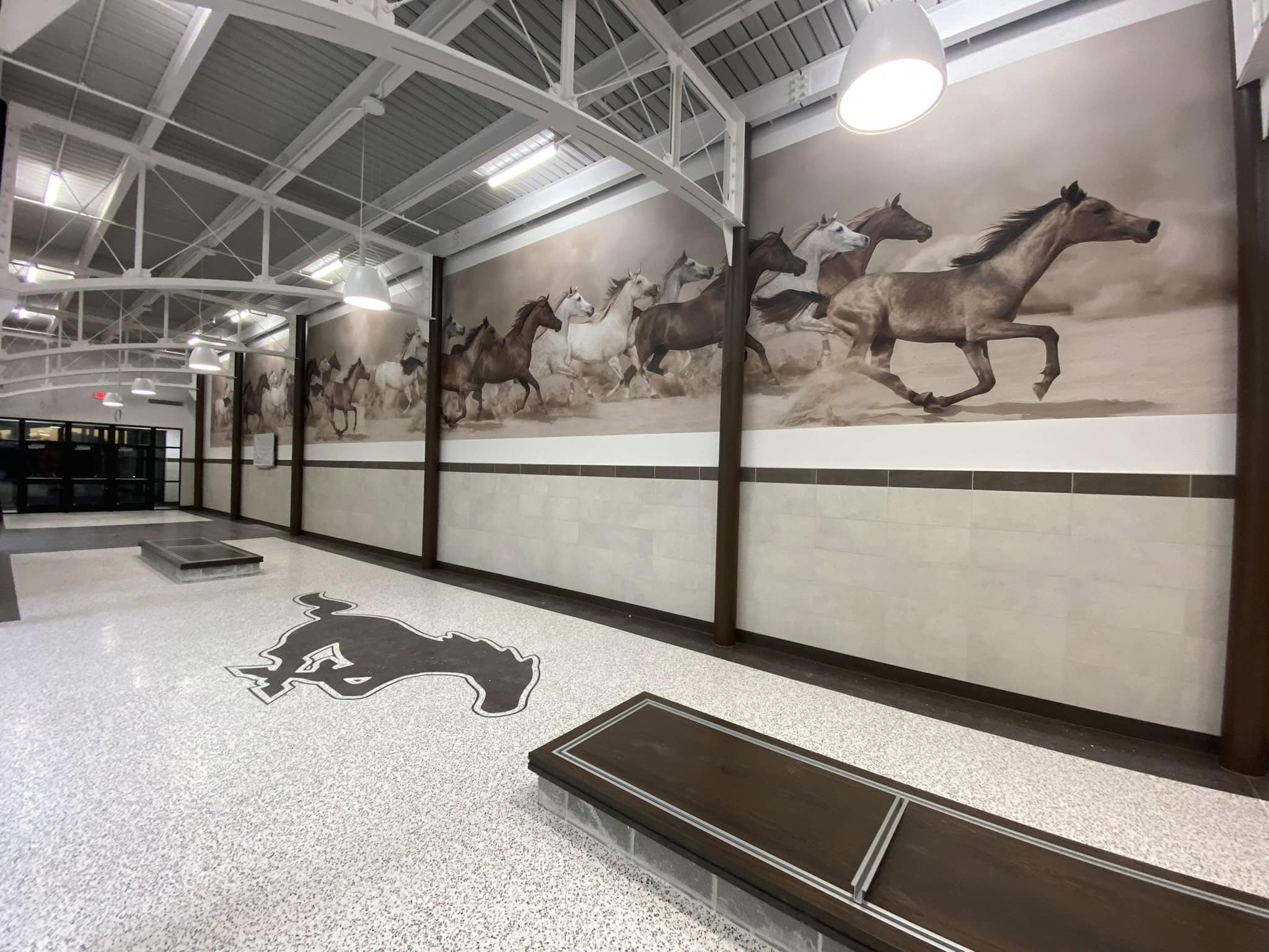 Custom school facility graphics and branding by Armour Wraps